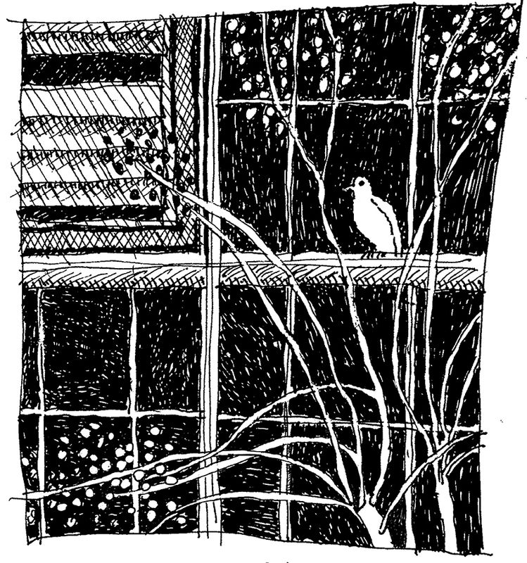 Bluebird Factory Window